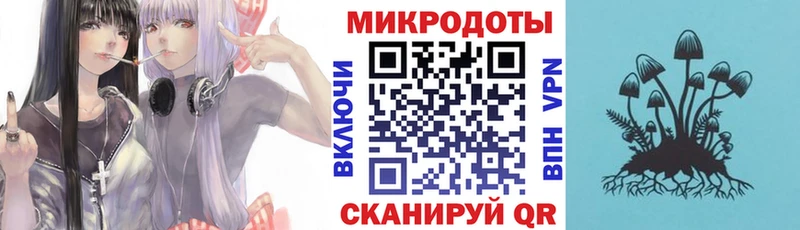 наркошоп  Назарово  Псилоцибиновые грибы Psilocybine cubensis 